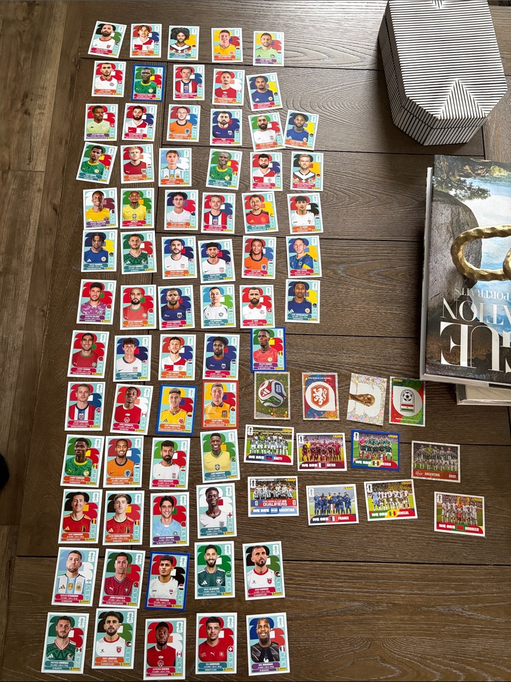 Panini Multicolor Football Player & Team Sticker Lot